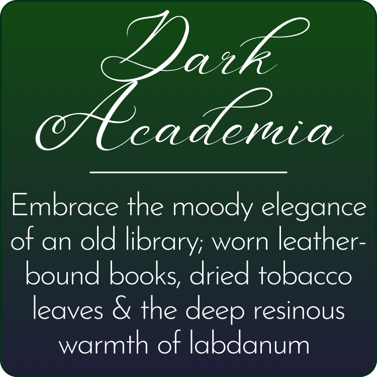 Dark Academia Beeswax Melts - Box of 2