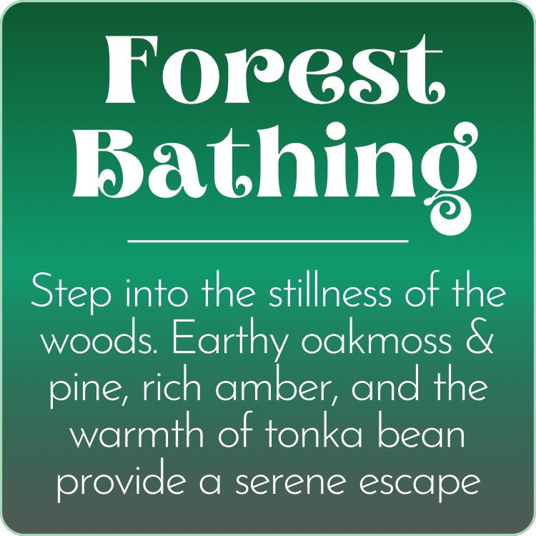 Forest Bathing Beeswax Melts - Box of 2